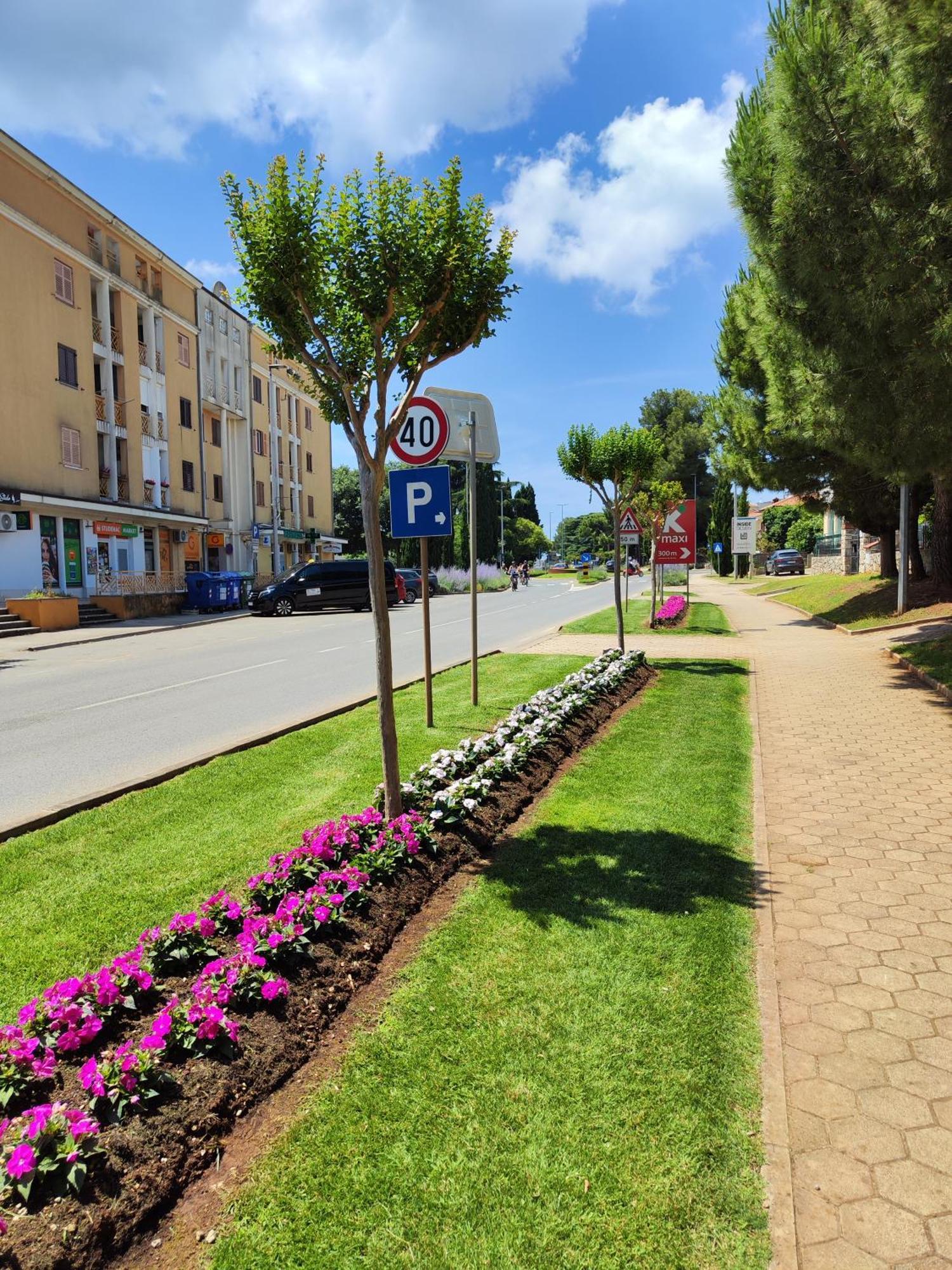 Apartmán Nilema *